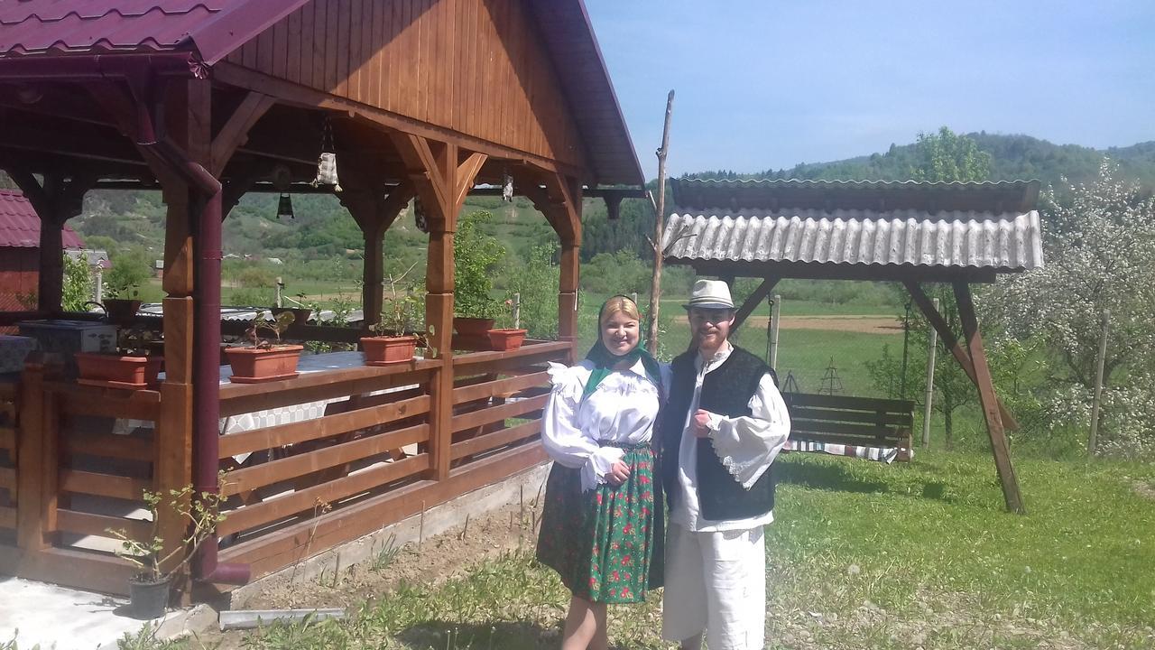 Pensiunea Popan Sieu  Екстер'єр фото